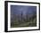 The Orchard, 1881-Alfred Sisley-Framed Giclee Print