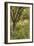 The Orchard-Thomas Cooper Gotch-Framed Giclee Print