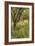 The Orchard-Thomas Cooper Gotch-Framed Giclee Print