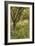 The Orchard-Thomas Cooper Gotch-Framed Giclee Print