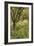 The Orchard-Thomas Cooper Gotch-Framed Giclee Print