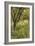 The Orchard-Thomas Cooper Gotch-Framed Giclee Print