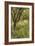 The Orchard-Thomas Cooper Gotch-Framed Giclee Print