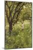 The Orchard-Thomas Cooper Gotch-Mounted Giclee Print