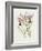 The Orchid Album Plate 475-null-Framed Giclee Print