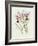 The Orchid Album Plate 475-null-Framed Giclee Print