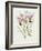 The Orchid Album Plate 475-null-Framed Giclee Print