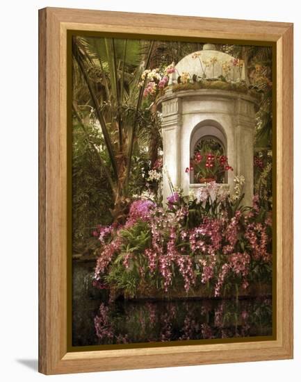 The Orchid Show-Jessica Jenney-Framed Premier Image Canvas