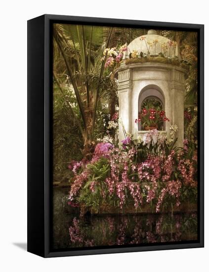 The Orchid Show-Jessica Jenney-Framed Premier Image Canvas