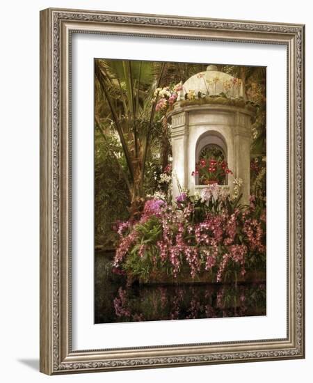 The Orchid Show-Jessica Jenney-Framed Giclee Print