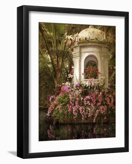 The Orchid Show-Jessica Jenney-Framed Giclee Print