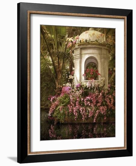 The Orchid Show-Jessica Jenney-Framed Giclee Print