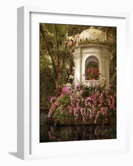 The Orchid Show-Jessica Jenney-Framed Giclee Print