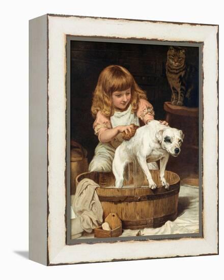 The Order of the Bath-Charles Burton Barber-Framed Premier Image Canvas