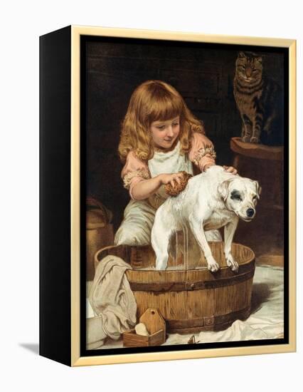 The Order of the Bath-Charles Burton Barber-Framed Premier Image Canvas