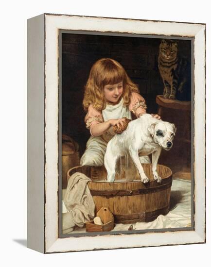 The Order of the Bath-Charles Burton Barber-Framed Premier Image Canvas