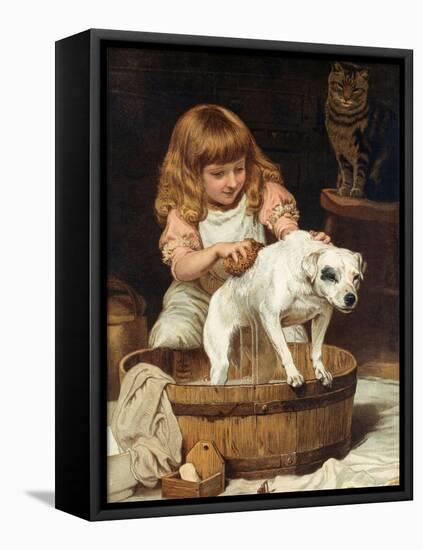 The Order of the Bath-Charles Burton Barber-Framed Premier Image Canvas