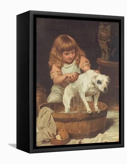 The Order of the Bath-Charles Burton Barber-Framed Premier Image Canvas