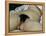 The Origin of the World, 1866-Gustave Courbet-Framed Premier Image Canvas