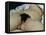 The Origin of the World, 1866-Gustave Courbet-Framed Premier Image Canvas