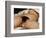 The Origin of the World-Gustave Courbet-Framed Giclee Print