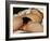 The Origin of the World-Gustave Courbet-Framed Giclee Print