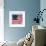 The Original Star-Spangled Banner-null-Framed Giclee Print displayed on a wall