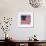 The Original Star-Spangled Banner-null-Framed Giclee Print displayed on a wall