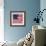 The Original Star-Spangled Banner-null-Framed Giclee Print displayed on a wall