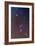 The Orion Constellation-null-Framed Photographic Print