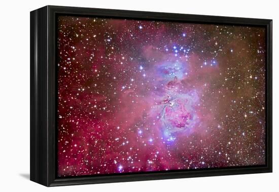 The Orion Nebula Region-Stocktrek Images-Framed Premier Image Canvas