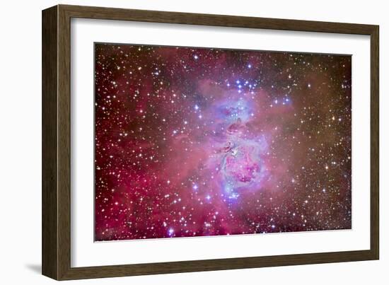 The Orion Nebula Region-Stocktrek Images-Framed Photographic Print