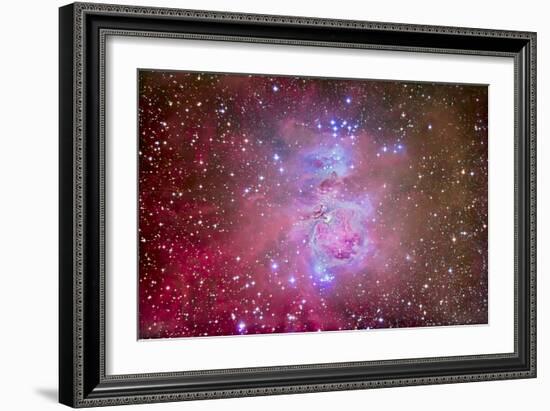 The Orion Nebula Region-Stocktrek Images-Framed Photographic Print