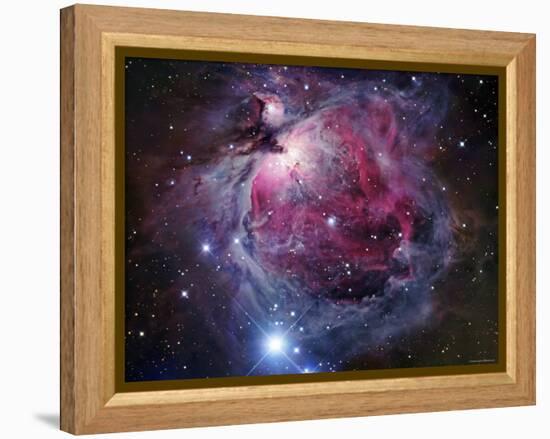 The Orion Nebula-Stocktrek Images-Framed Premier Image Canvas