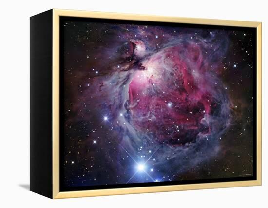 The Orion Nebula-Stocktrek Images-Framed Premier Image Canvas