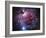 The Orion Nebula-Stocktrek Images-Framed Photographic Print