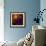 The Orion Nebula-Stocktrek Images-Framed Photographic Print displayed on a wall