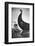 The " Oseberg boat", a Viking ship now in the Viking-skipshuset Museum in Oslo, Norway.-Erich Lessing-Framed Photographic Print