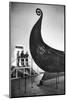 The " Oseberg boat", a Viking ship now in the Viking-skipshuset Museum in Oslo, Norway.-Erich Lessing-Mounted Photographic Print