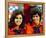 The Osmonds-null-Framed Stretched Canvas