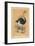 'The Ostrich', (Struthio camelus), c1850, (1856)-Unknown-Framed Giclee Print