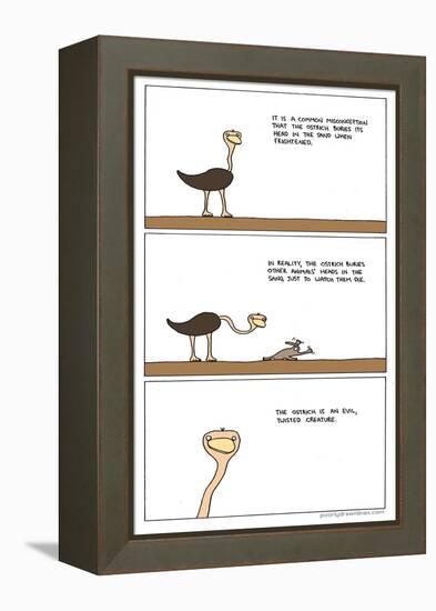 The Ostrich-Reza Farazmand-Framed Stretched Canvas