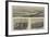 The Otago Great Northern Railway-null-Framed Giclee Print