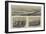 The Otago Great Northern Railway-null-Framed Giclee Print