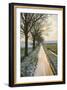 The Oude Trambaan Tree Lined Cycle Path, Rijsbergen, North Brabant, The Netherlands (Holland)-Mark Doherty-Framed Photographic Print