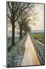 The Oude Trambaan Tree Lined Cycle Path, Rijsbergen, North Brabant, The Netherlands (Holland)-Mark Doherty-Mounted Photographic Print