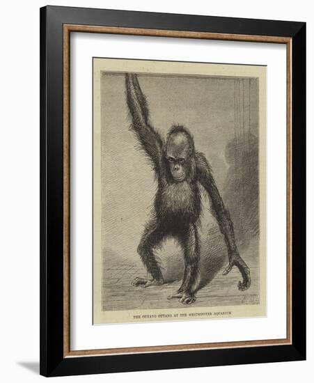 The Ourang Outang at the Westminster Aquarium-null-Framed Giclee Print