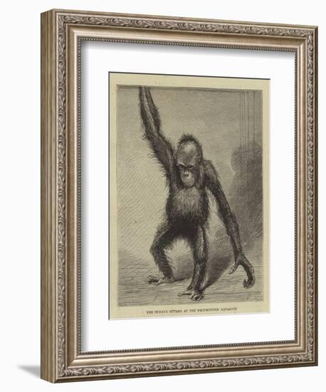 The Ourang Outang at the Westminster Aquarium-null-Framed Giclee Print