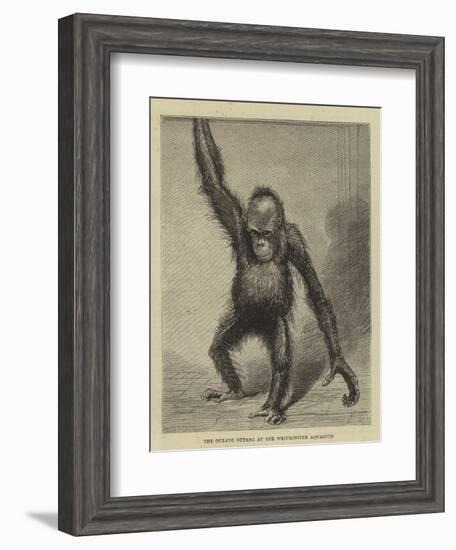 The Ourang Outang at the Westminster Aquarium-null-Framed Giclee Print