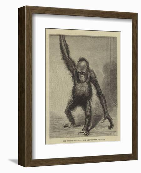 The Ourang Outang at the Westminster Aquarium-null-Framed Giclee Print